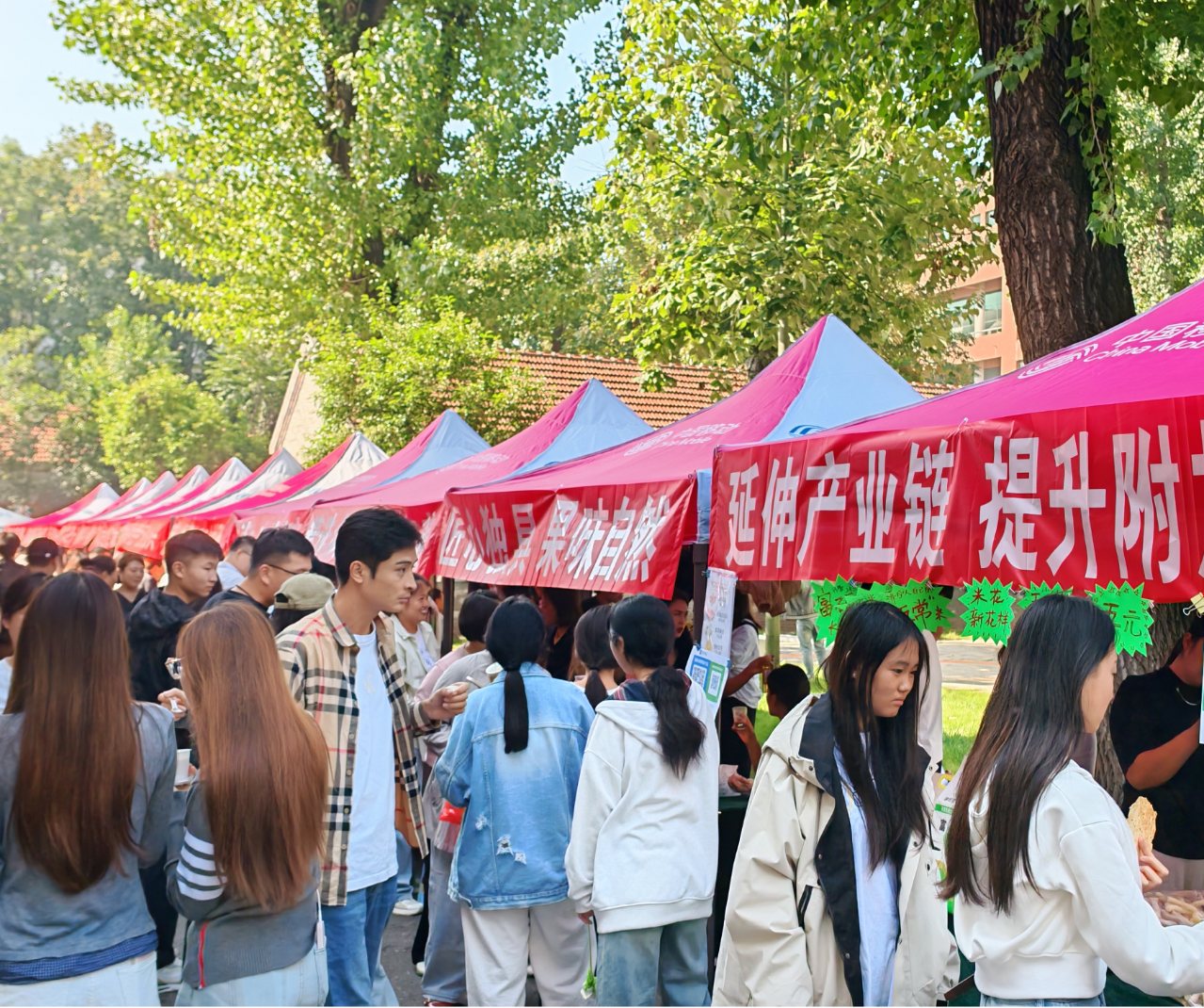 图片14.png