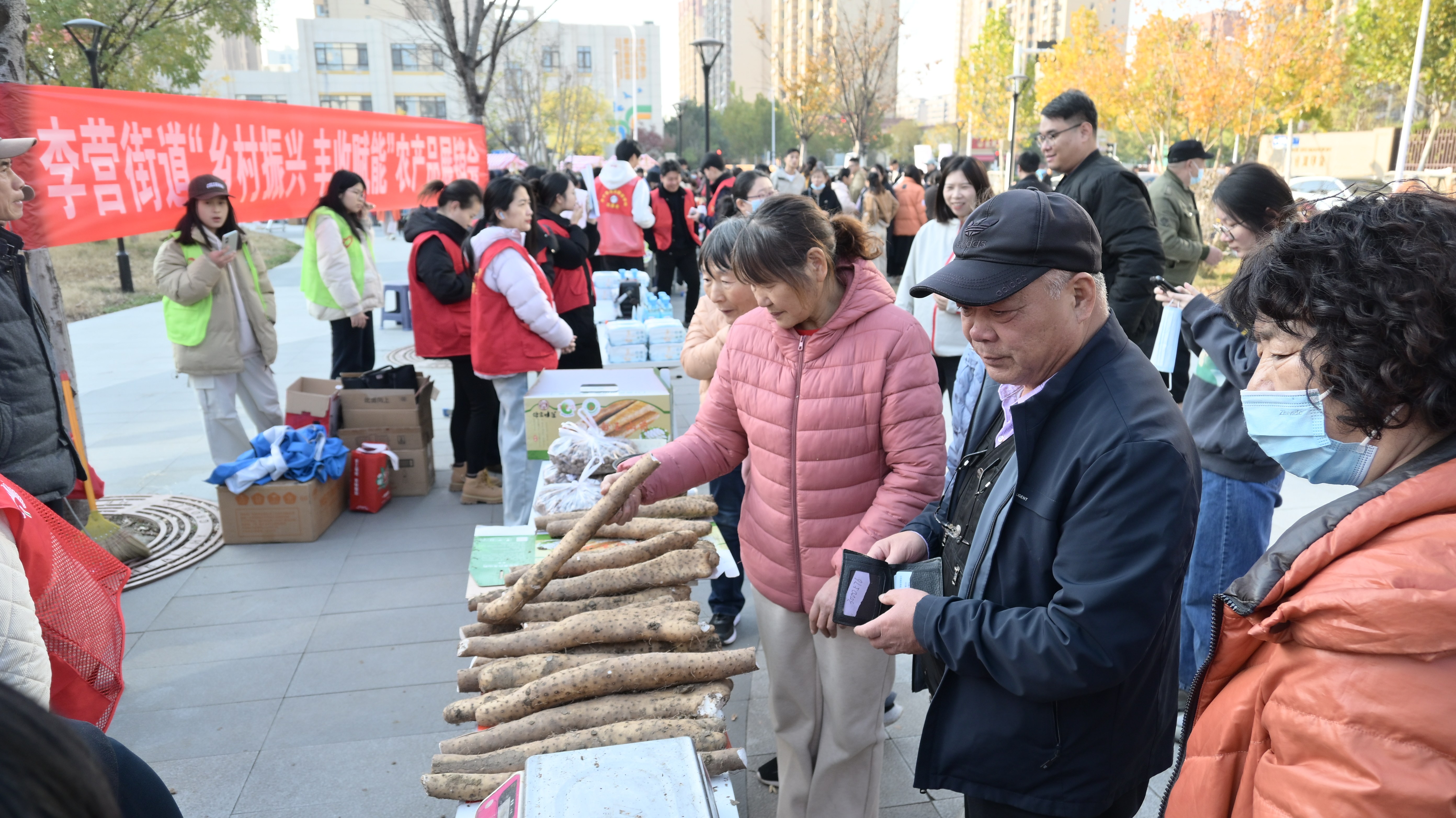 1764034164189038503.jpg 山药.jpg