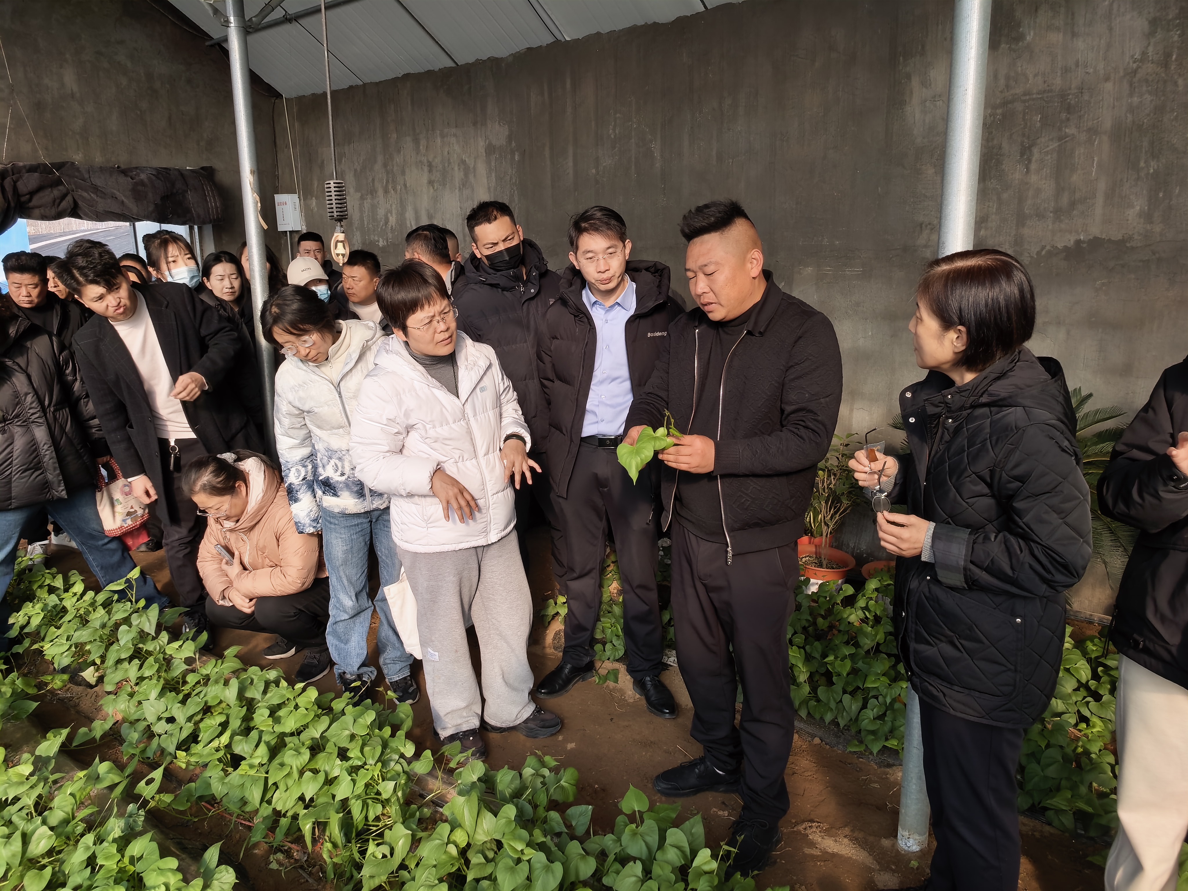 1765287185262040644.jpg mmexport1765119902367.jpg